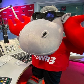 SWR3-Elch im Studio