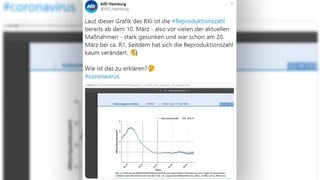 AfD Hamburg (Foto: Screenshot Facebook) AfD Hamburg