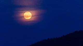 Der Erdbeermond über dem Schluchsee in Baden-Württemberg. (Foto: dpa Bildfunk, picture alliance/dpa | Philipp von Ditfurth) Der Erdbeermond über dem Schluchsee in Baden-Württemberg.